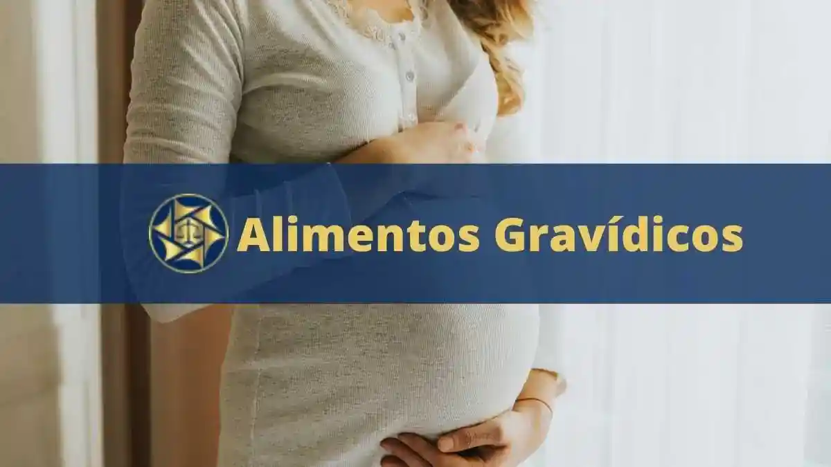 Alimentos gravídicos