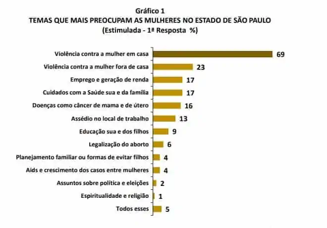 temas que mais preocupam-as-mulheres no estado de São Paulo